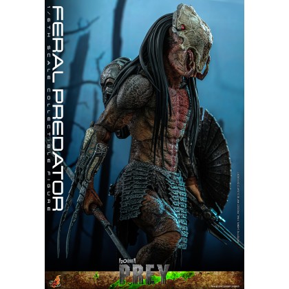 Feral Predator Hot Toys TMS Prey Th Scale Collectible Figure