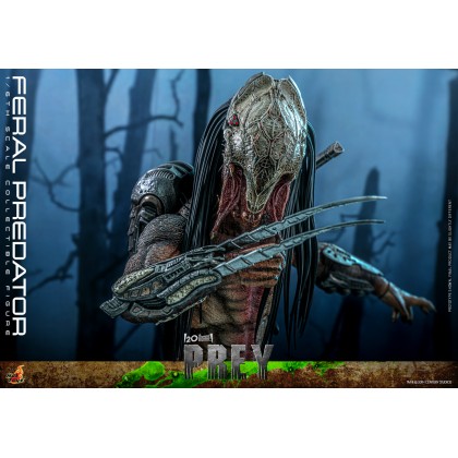 Feral Predator - Hot Toys TMS114 Prey 1/6th scale Collectible Figure