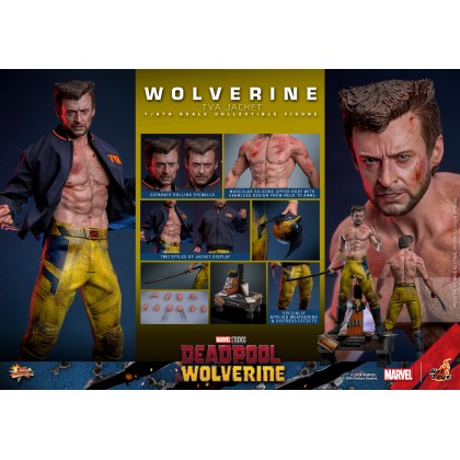 Wolverine (TVA Jacket Version) - Hot Toys MMS756 Deadpool