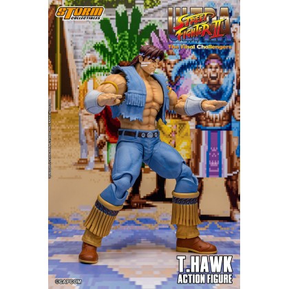 storm collectiblesフェイロン Storm Collectibles Ultra Street Fighter II Fei Long