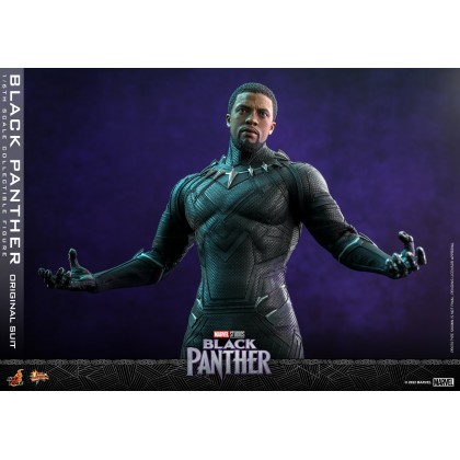 Black Panther (Original Suit) Hot Toys MMS671 1/6th scale